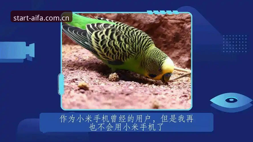 aifa体育平台从这里启程注册入口实用指南：老用户教你少走弯路